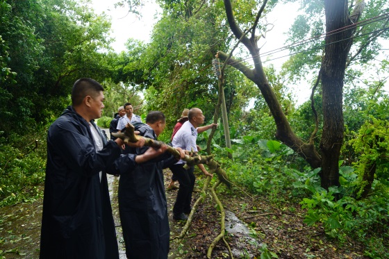 台风过后各部门迅速行动 全力保障镇区生产生活秩序