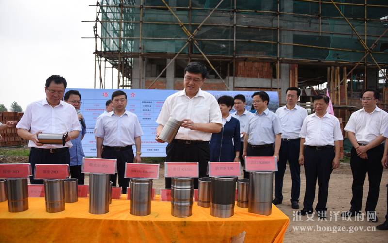 市领导来洪观摩重大项目建设