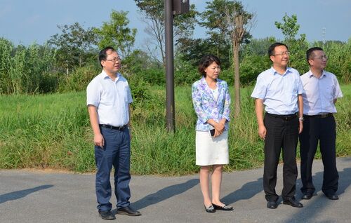 阜宁施建霞图片