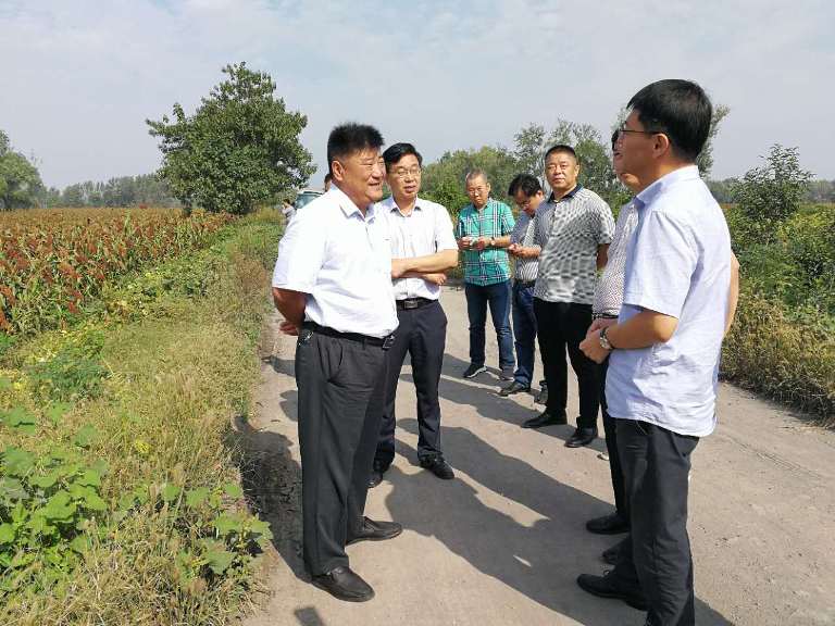 中青旅投资部经理徐国彦一行来刘桥镇考察凤栖湖旅游开发项目