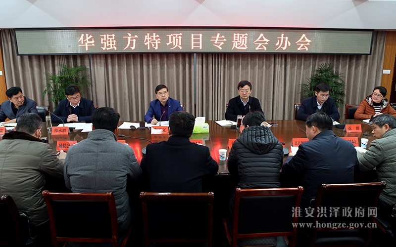 我区召开华强方特项目专题会办会