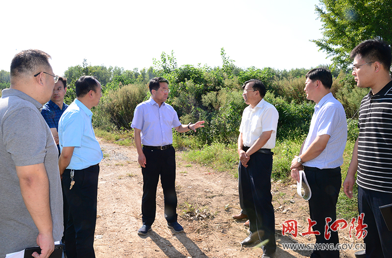 马伟现场推进意杨产业科技园部分重点项目建设