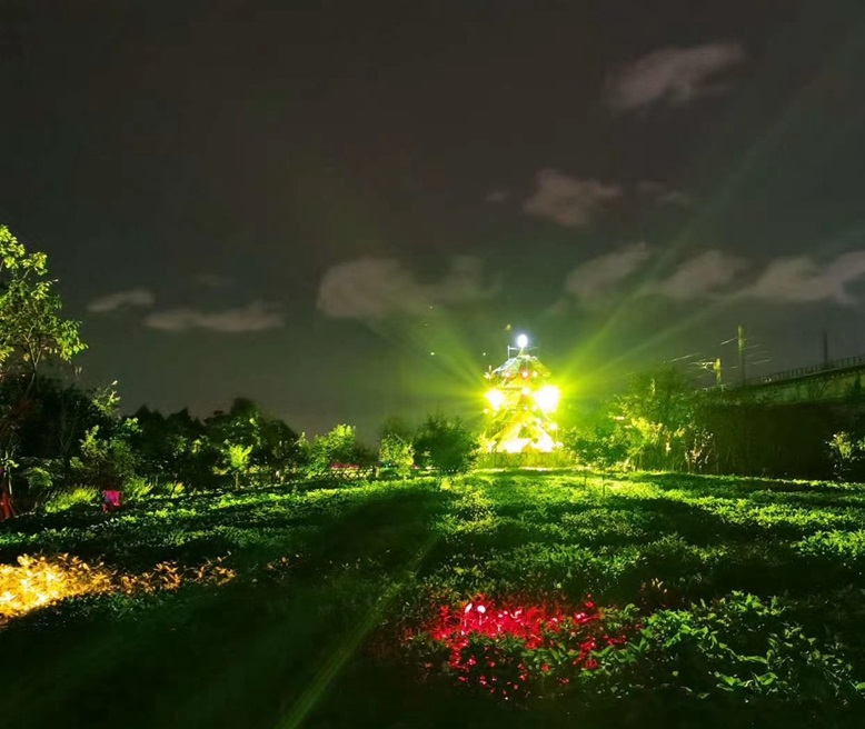 宁波植物园金秋花之语光影秀启幕