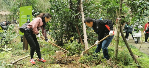 植入“她”力量 绘就“全域美”