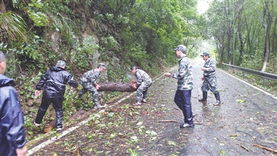 百余民兵参与防台工作