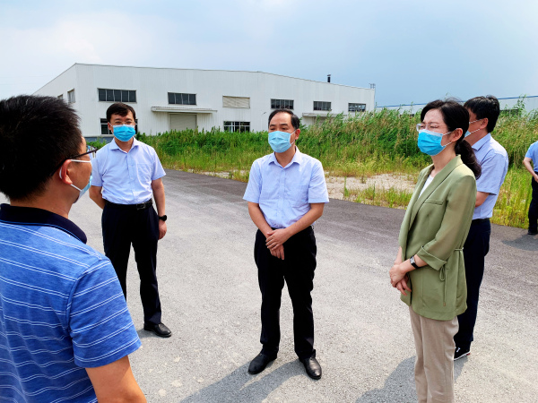 马振兵赴丹徒经济开发区现场推进闲置土地、闲置厂房盘活工作