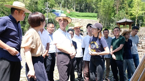 区长曾瑞华督查未来乡村建设工作