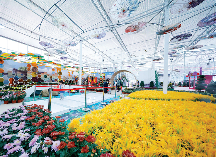 第四届湖熟稻花节暨第九届湖熟菊花展开幕