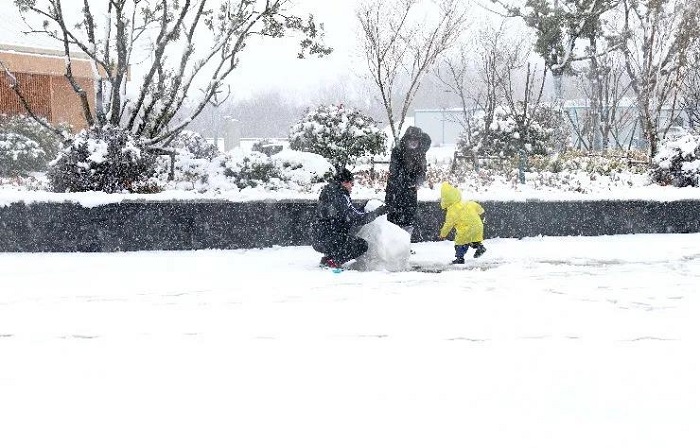 飞雪迎春到，金牛山公园“着新衣”