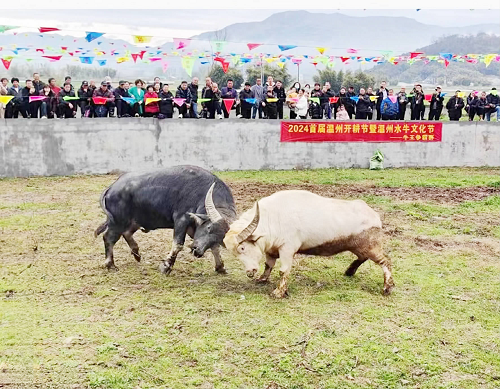 体验农旅融合乐趣 感受农耕文化魅力