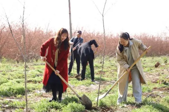 合肥西郊公园花海再添700株樱花树