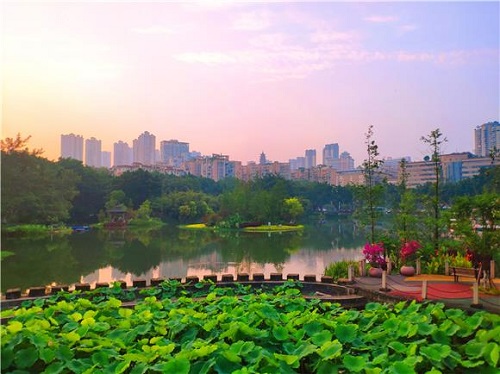 大渡口公园：绿树成荫绕步道 植物花卉映湖面