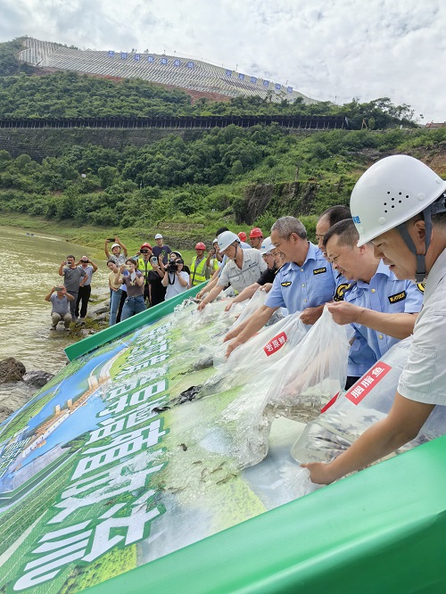 白马镇开展乌江流域增殖放流活动