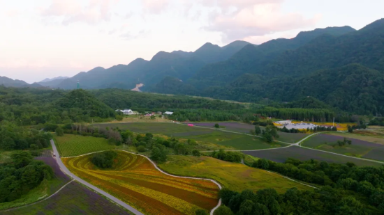 假日相约红池坝 与高山草甸邂逅自然之美