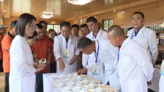 “农行杯”汕尾市首届茶王争霸赛在海丰举行