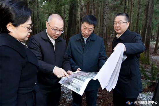 重庆市第三生态环境保护督察组现场督察我区自然保护地生态环境保护工作