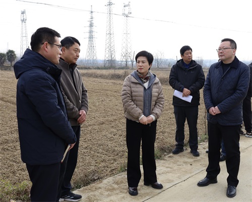 王莹赴基层宣讲习近平总书记考察安徽重要讲话精神并调研耕地恢复暨永农整改工作